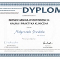 Powiększ obraz: certificate 3