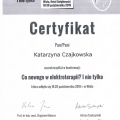 Powiększ obraz: certificate 7
