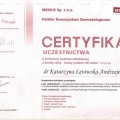 Powiększ obraz: certificate 23