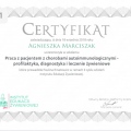 Powiększ obraz: certificate 6