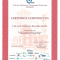 Powiększ obraz: certificate 6