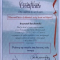 Powiększ obraz: certificate 4