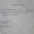 Powiększ obraz: certificate 3