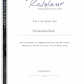 Powiększ obraz: certificate 2