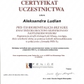 Powiększ obraz: certificate 13