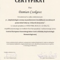 Powiększ obraz: certificate 9