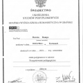 Powiększ obraz: certificate 12