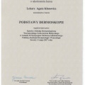Powiększ obraz: certificate 5