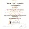 Powiększ obraz: certificate 14