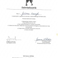 Powiększ obraz: certificate 10