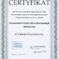 Powiększ obraz: certificate 28