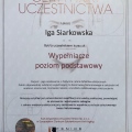 Powiększ obraz: certificate 7