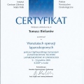Powiększ obraz: certificate 13