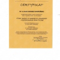 Powiększ obraz: certificate 11