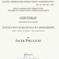Powiększ obraz: certificate 5