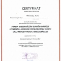 Powiększ obraz: certificate 11