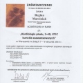 Powiększ obraz: certificate 6