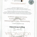 Powiększ obraz: certificate 1