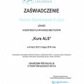 Powiększ obraz: certificate 6