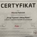 Powiększ obraz: certificate 26