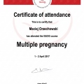 Powiększ obraz: certificate 58