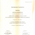 Powiększ obraz: certificate 8