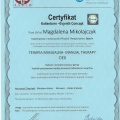 Powiększ obraz: certificate 2