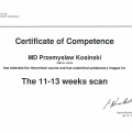 Powiększ obraz: certificate 2