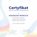 Powiększ obraz: certificate 1
