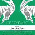 Powiększ obraz: certificate 11