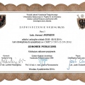 Powiększ obraz: certificate 12