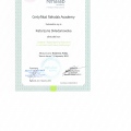 Powiększ obraz: certificate 12