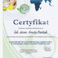 Powiększ obraz: certificate 20