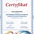 Powiększ obraz: certificate 20
