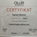Powiększ obraz: certificate 19