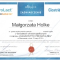 Powiększ obraz: certificate 13
