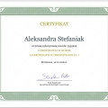 Powiększ obraz: certificate 1