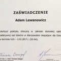 Powiększ obraz: certificate 11