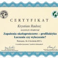 Powiększ obraz: certificate 19
