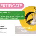 Powiększ obraz: certificate 2
