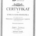 Powiększ obraz: certificate 6