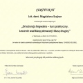 Powiększ obraz: certificate 8