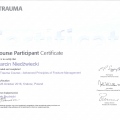 Powiększ obraz: certificate 26