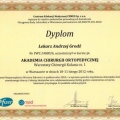 Powiększ obraz: certificate 13