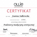 Powiększ obraz: certificate 1