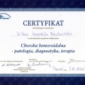 Powiększ obraz: certificate 17