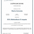 Powiększ obraz: certificate 2