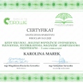 Powiększ obraz: certificate 1