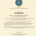 Powiększ obraz: certificate 84