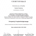 Powiększ obraz: certificate 22